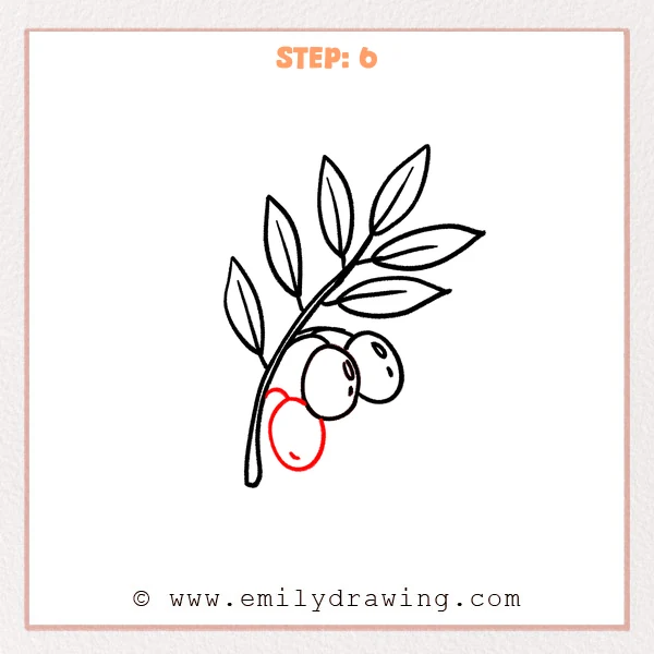 how to draw an olive branch - Step 6